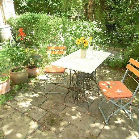 Ferienwohnung Mit Charme In Dresden Pillnitz 외부 사진