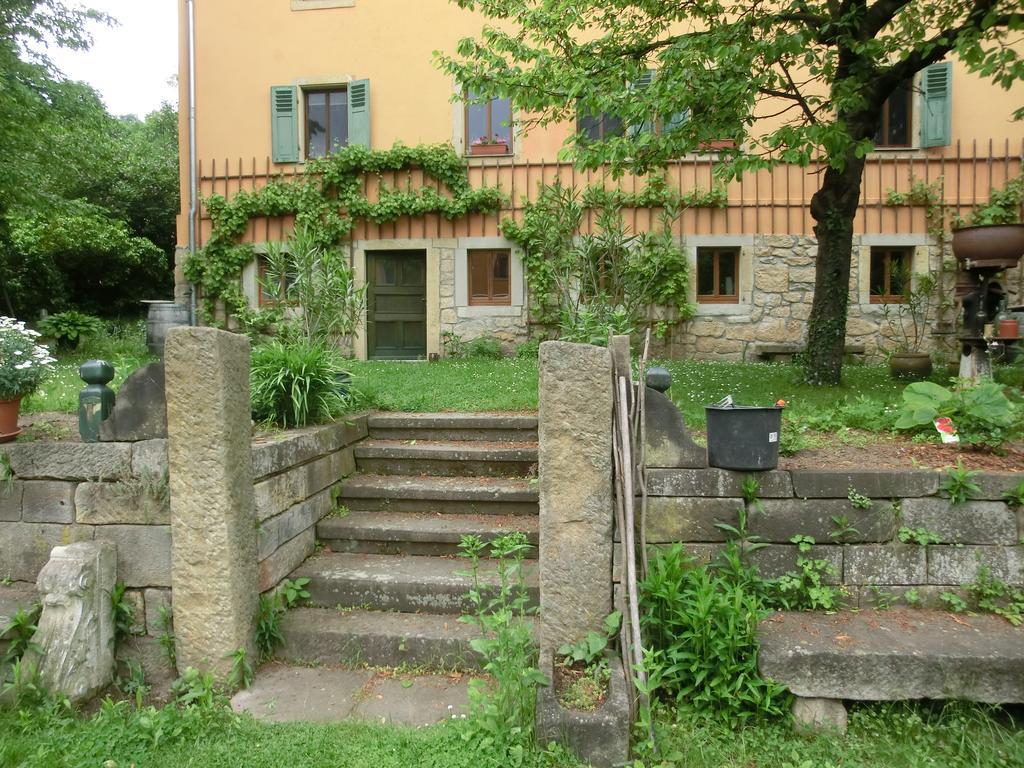 Ferienwohnung Mit Charme In Dresden Pillnitz 외부 사진